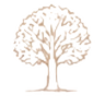 Line drawing of a mature tree in full canopy